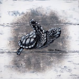 squirt-web